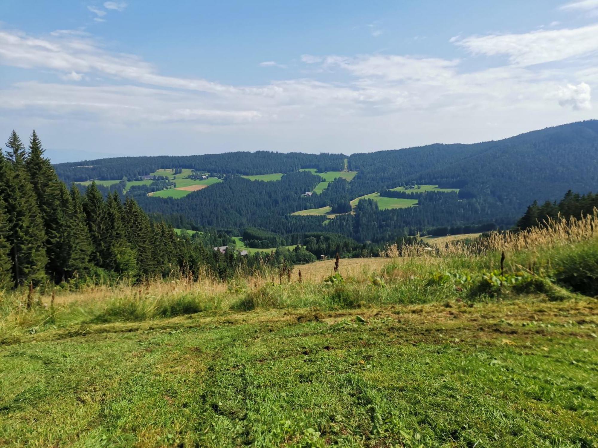 Gaestehaus Hebalm, Family & Friends Auf 900 M2 Wohnflaeche Erleben, Alleinnutzung Moeglich Pack Extérieur photo